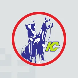 Kansas city scouts